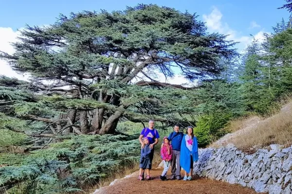 Dear alkamar- beiteddine-chouf forest (2) Dear alkamar- beiteddine-chouf forest (2)