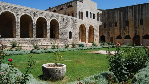 Dear alkamar- beiteddine-chouf forest (3) Dear alkamar- beiteddine-chouf forest (3)
