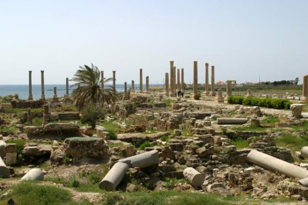 Sidon-maghdouche-tyre (15) Sidon-maghdouche-tyre (15)