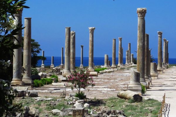 Sidon-maghdouche-tyre (3) Sidon-maghdouche-tyre (3)