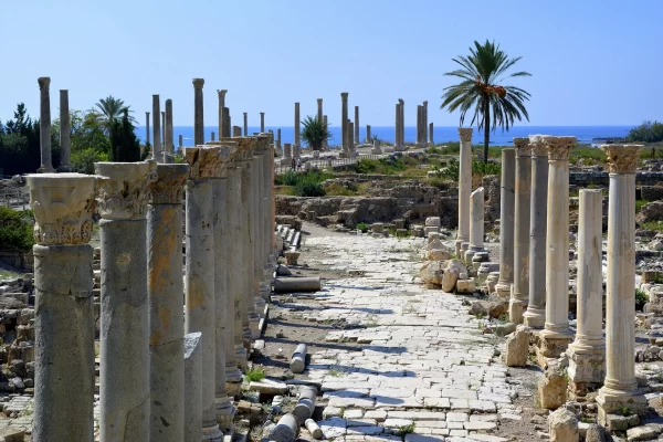 Sidon-maghdouche-tyre (7) Sidon-maghdouche-tyre (7)